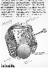 Citizen 1979 16.jpg